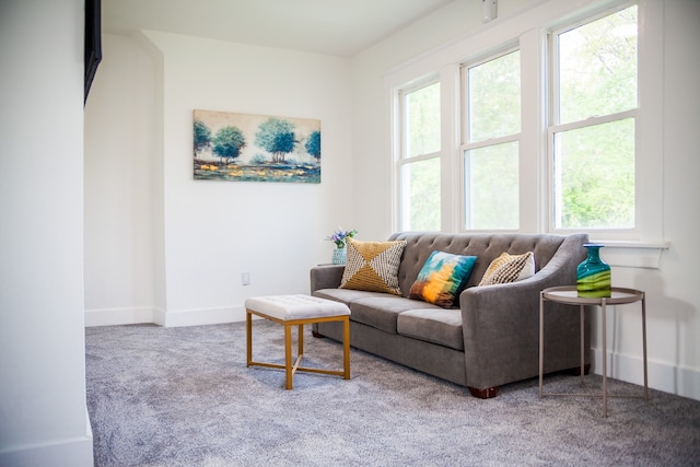 118 W 118th St, Chicago, IL 60628 - carpeted living area with healthy amount of natural light and baseboards