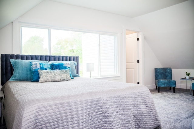 118 W 118th St, Chicago, IL 60628 - bedroom with lofted ceiling and carpet flooring