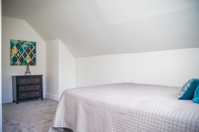 118 W 118th St, Chicago, IL 60628 - bedroom with vaulted ceiling and carpet floors