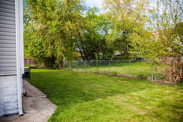 118 W 118th St, Chicago, IL 60628 - view of yard