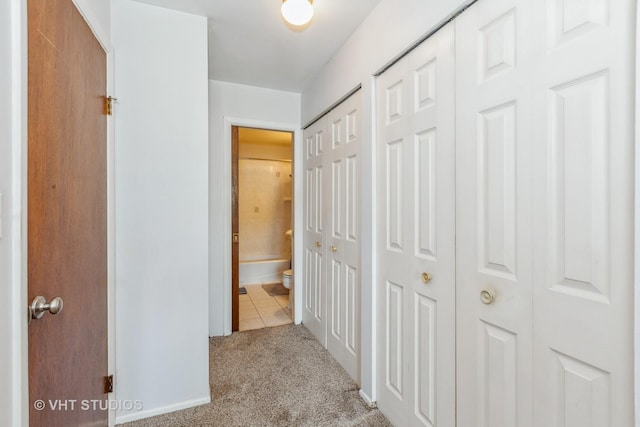 1313B S Rebecca Rd Unit 215, Lombard, IL 60148 - hall featuring carpet flooring