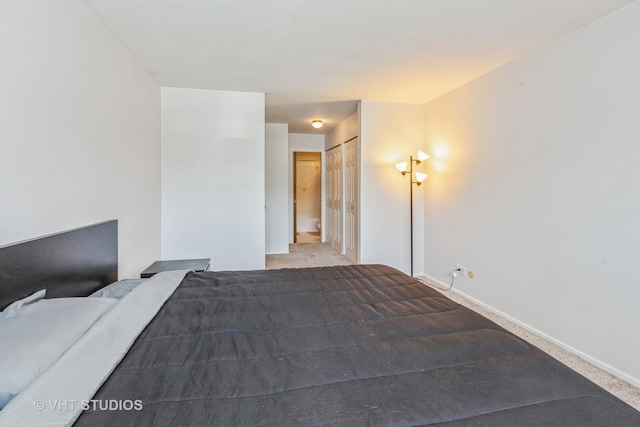 1313B S Rebecca Rd Unit 215, Lombard, IL 60148 - carpeted bedroom featuring baseboards