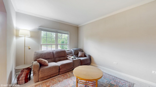 carpeted living room featuring baseboards and ornamental molding
