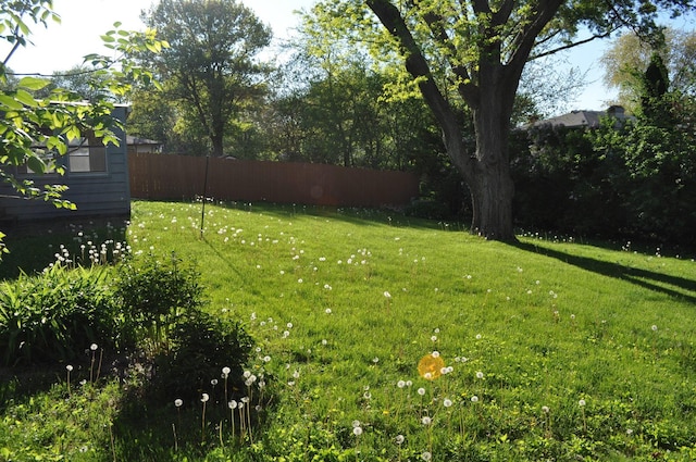 view of yard