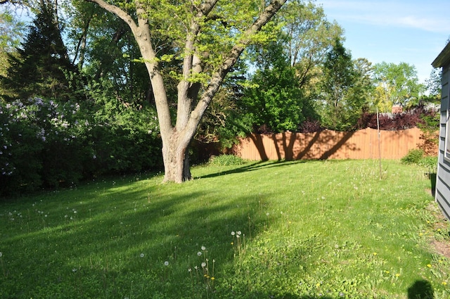view of yard