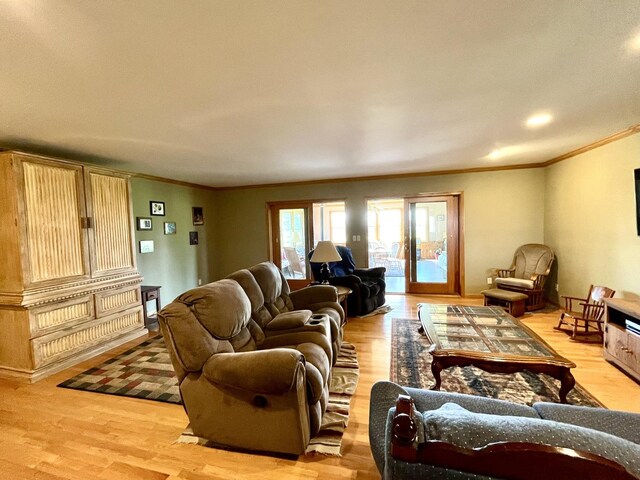 80 N 14th Rd, Lostant, IL 61334 - living room featuring crown molding and light wood-style floors
