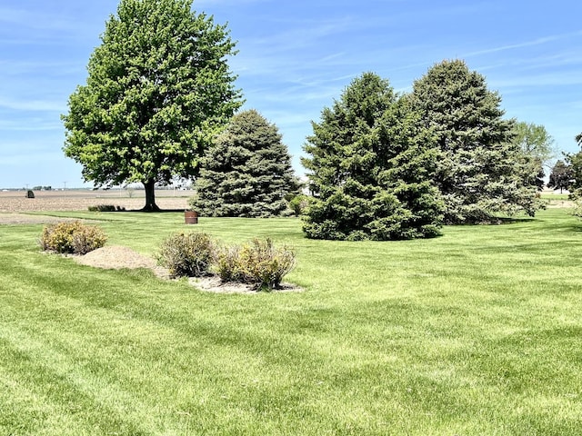 80 N 14th Rd, Lostant, IL 61334 - view of green lawn