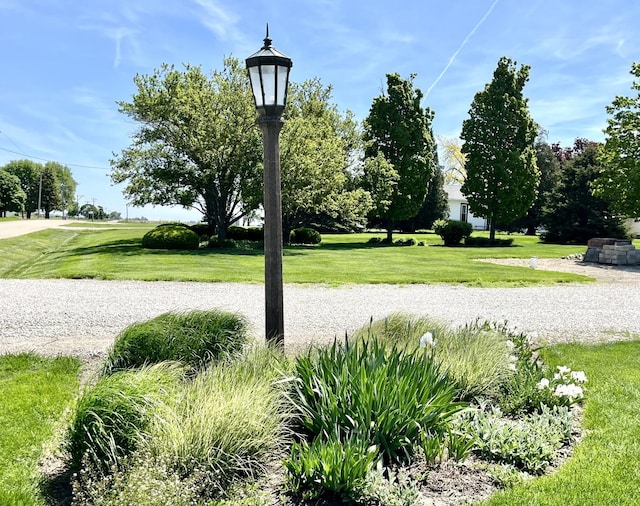 80 N 14th Rd, Lostant, IL 61334 - view of property's community featuring a lawn