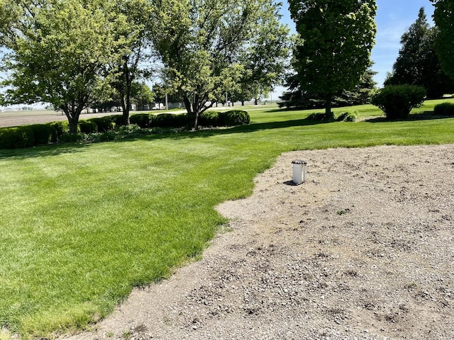 80 N 14th Rd, Lostant, IL 61334 - view of green lawn