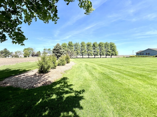 80 N 14th Rd, Lostant, IL 61334 - view of green lawn with a view of rural / pastoral area