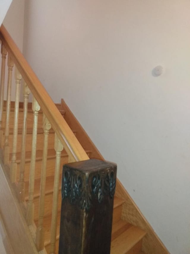 8015 S May St, Chicago, IL 60620 - stairs featuring baseboards