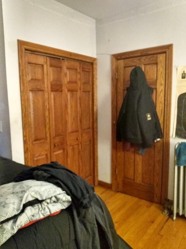 8015 S May St, Chicago, IL 60620 - bedroom featuring light wood finished floors and a closet