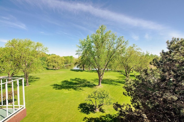 2700 E Bel Aire Dr Unit 304, Arlington Heights, IL 60004 - view of grassy yard