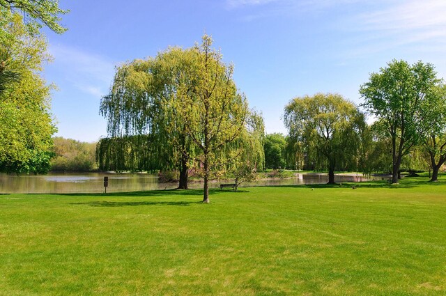2700 E Bel Aire Dr Unit 304, Arlington Heights, IL 60004 - view of property's community featuring a water view and a yard