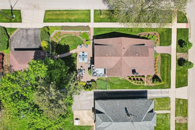 bird's eye view