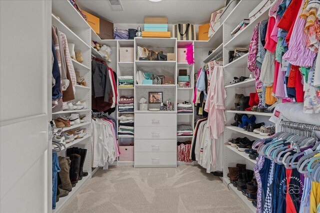 5233 Carpenter St, Downers Grove, IL 60515 - spacious closet with carpet floors
