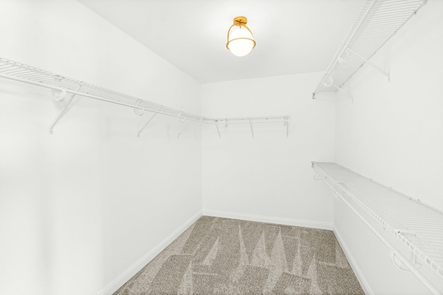 spacious closet with light carpet