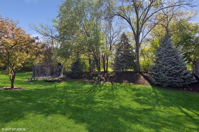 2116 Nachtman Ct, Wheaton, IL 60187 - view of grassy yard with a trampoline