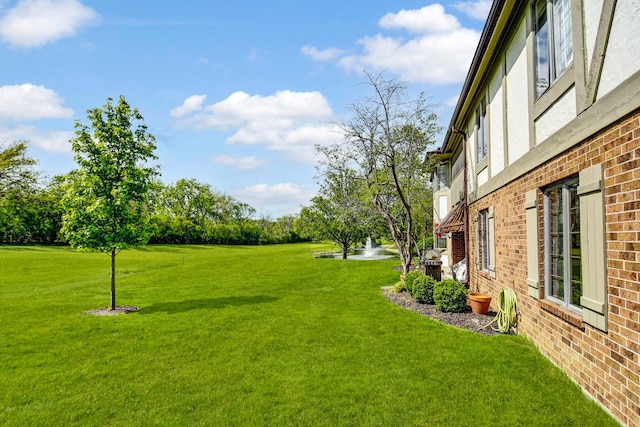13228 S Westview Dr Unit 2A, Palos Heights, IL 60463 - view of grassy yard featuring a water view