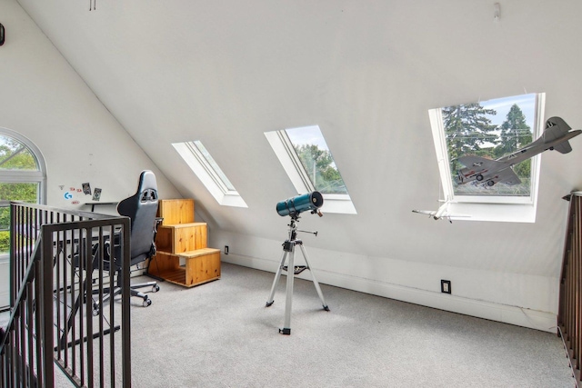 89 Huron St, Maywood, IL 60153 - workout area featuring a skylight, lofted ceiling, and carpet