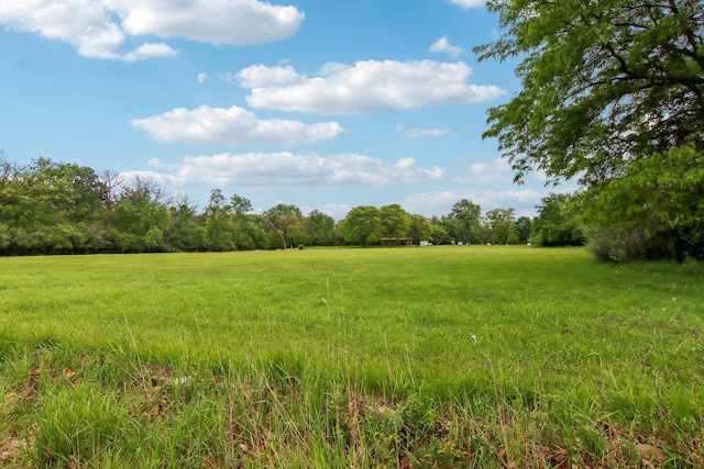 89 Huron St, Maywood, IL 60153 - view of tree filled area with a view of rural / pastoral area
