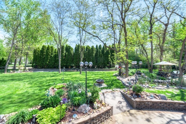 32911 Deer Ridge Dr, Wilmington, IL 60481 - view of property's community