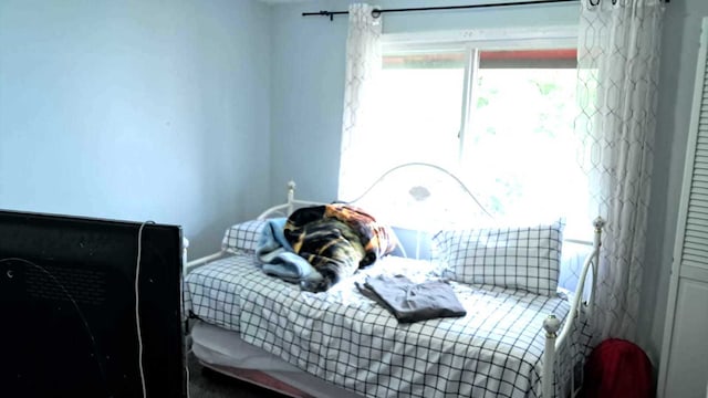 3407 Fountainbleau Dr, Hazel Crest, IL 60429 - view of bedroom