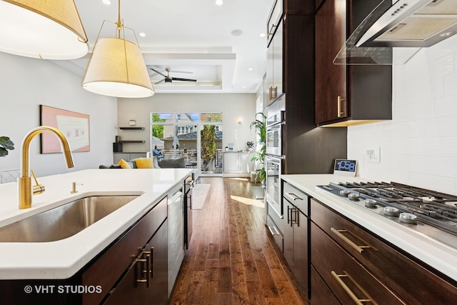 kitchen with a sink, ceiling fan, under cabinet range hood, dark wood-style floors, and dark brown cabinets