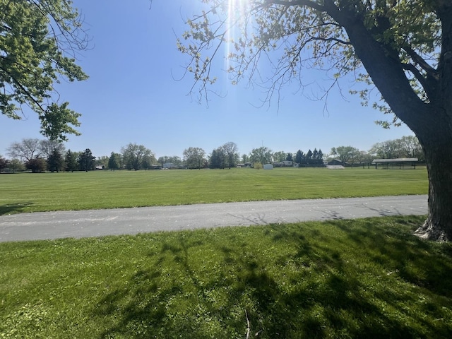 18840 May Ave, Homewood, IL 60430 - view of green lawn