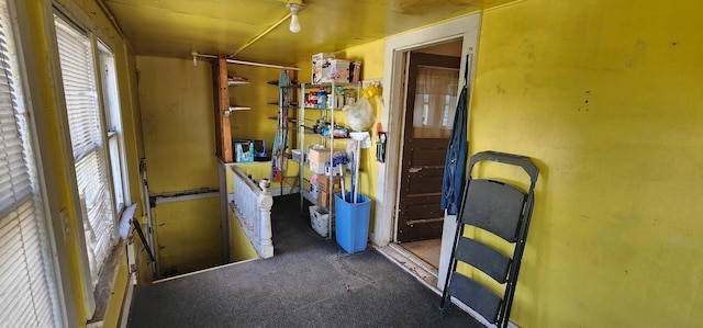 1128 N Hickory St, Joliet, IL 60435 - view of storage room