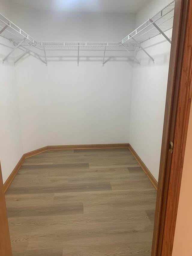 1327 E Washington St Unit 207, Des Plaines, IL 60016 - spacious closet with light wood-style flooring
