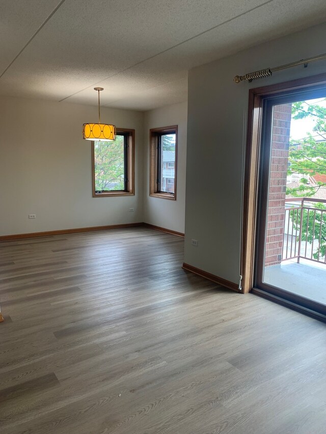 1327 E Washington St Unit 207, Des Plaines, IL 60016 - empty room featuring wood finished floors, baseboards, and a textured ceiling