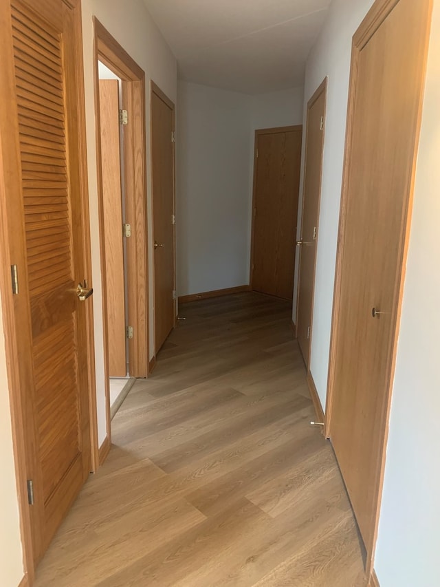 1327 E Washington St Unit 207, Des Plaines, IL 60016 - hallway with light wood-style flooring and baseboards