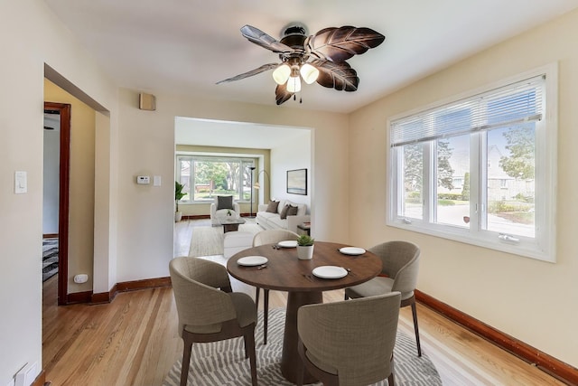 7657 N Osceola Ave, Niles, IL 60714 - dining room featuring light wood-style floors and ceiling fan