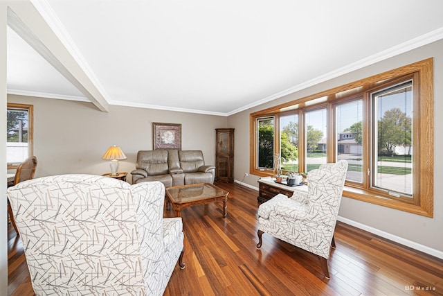 19634 Patricia Ln, Mokena, IL 60448 - living area with healthy amount of natural light, dark wood-style floors, baseboards, and crown molding