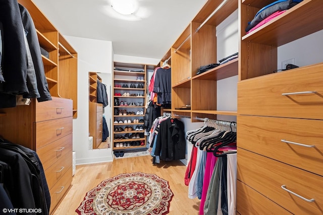 250 E Pearson St Unit 1306, Chicago, IL 60611 - spacious closet with light wood-type flooring
