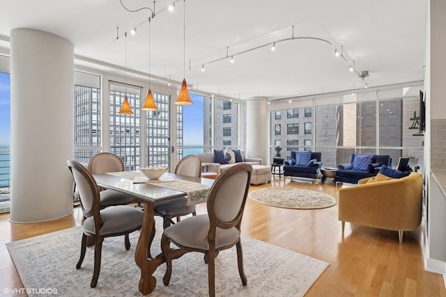 250 E Pearson St Unit 1306, Chicago, IL 60611 - dining area featuring light wood-type flooring and track lighting