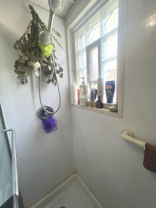 416 W Washington St, Morris, IL 60450 - detailed view of a stall shower