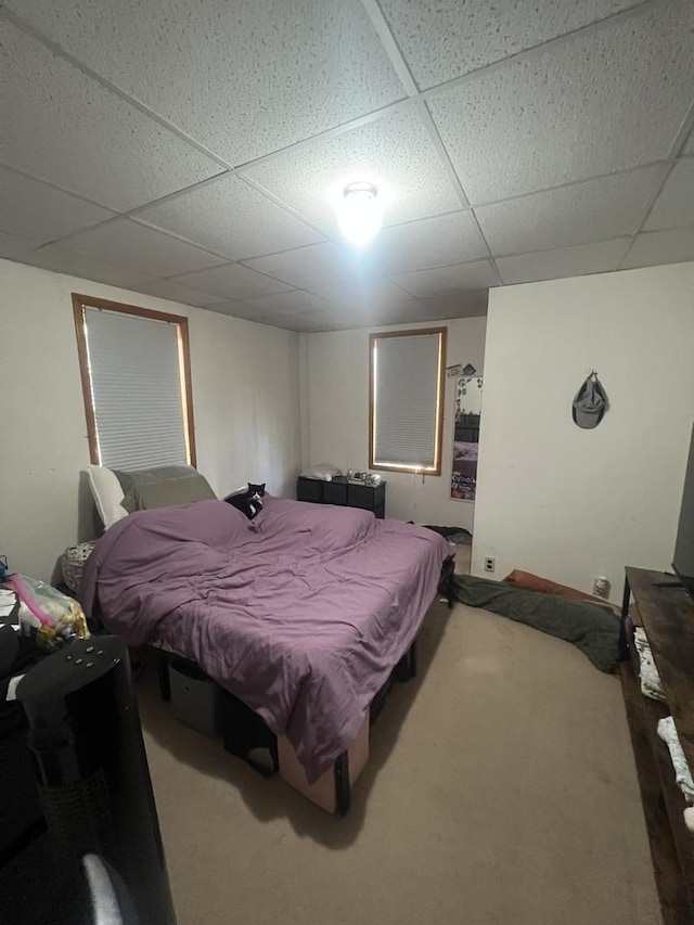 416 W Washington St, Morris, IL 60450 - carpeted bedroom featuring a paneled ceiling