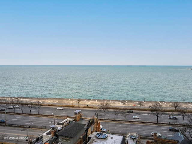 65 E Goethe St Unit 4N, Chicago, IL 60610 - water view