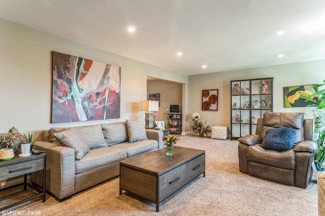 100 Lake Blvd Unit 646, Buffalo Grove, IL 60089 - living area featuring carpet flooring and recessed lighting