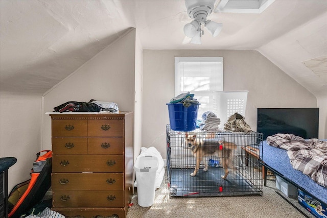 401 S Maple St, Urbana, IL 61801 - bedroom with vaulted ceiling and ceiling fan