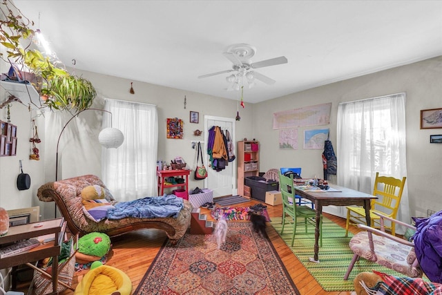 401 S Maple St, Urbana, IL 61801 - game room featuring wood-type flooring, plenty of natural light, and a ceiling fan