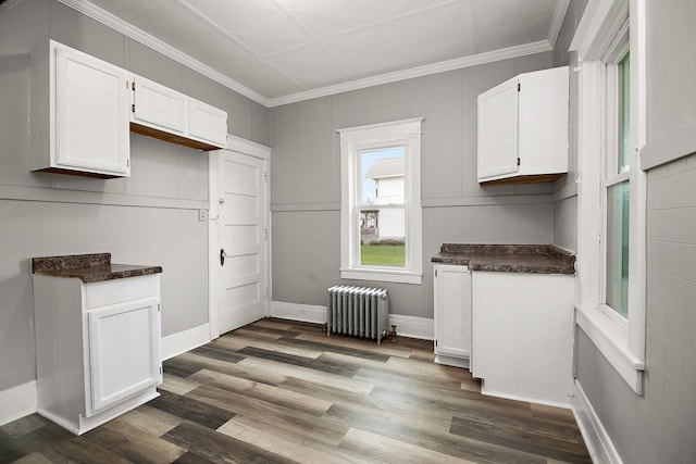 152 S Greenwood Ave, Kankakee, IL 60901 - kitchen featuring radiator heating unit, dark countertops, white cabinetry, dark wood-style flooring, and crown molding