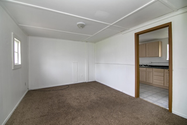 152 S Greenwood Ave, Kankakee, IL 60901 - spare room with light colored carpet, baseboards, and a sink