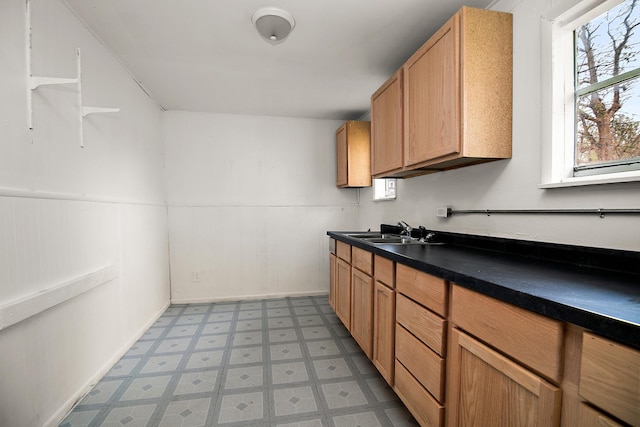 152 S Greenwood Ave, Kankakee, IL 60901 - kitchen with a sink, light floors, dark countertops, and wainscoting
