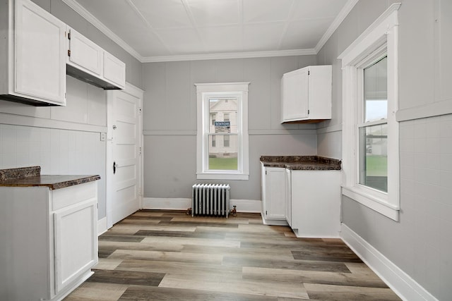 152 S Greenwood Ave, Kankakee, IL 60901 - kitchen with radiator heating unit, dark countertops, white cabinets, and crown molding