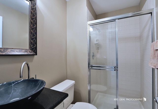 36708 Old Woods Trl, Gurnee, IL 60031 - bathroom featuring a shower stall and vanity