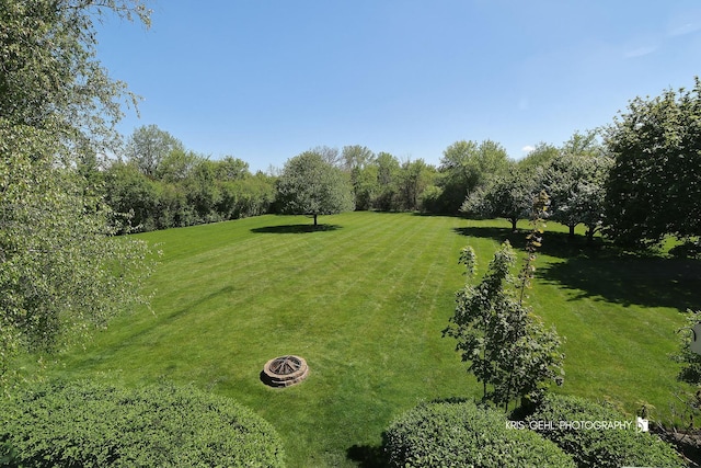 36708 Old Woods Trl, Gurnee, IL 60031 - view of green lawn