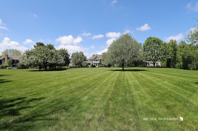 36708 Old Woods Trl, Gurnee, IL 60031 - view of grassy yard